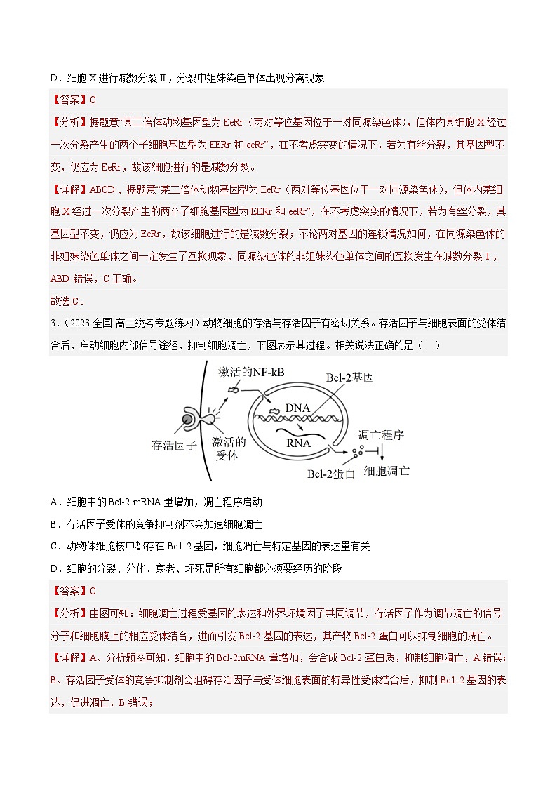 专题卷03 细胞的生命历程-【小题小卷】冲刺2023年高考生物小题限时集训（新高考专用）（解析版）02