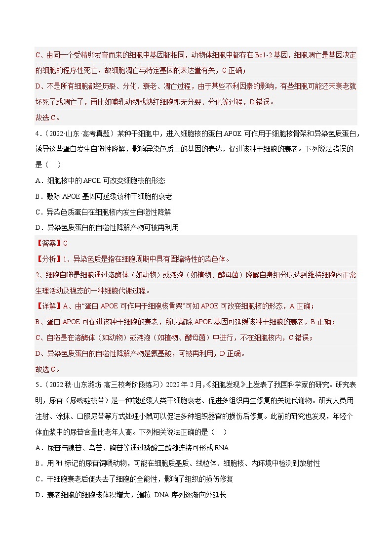 专题卷03 细胞的生命历程-【小题小卷】冲刺2023年高考生物小题限时集训（新高考专用）（解析版）03