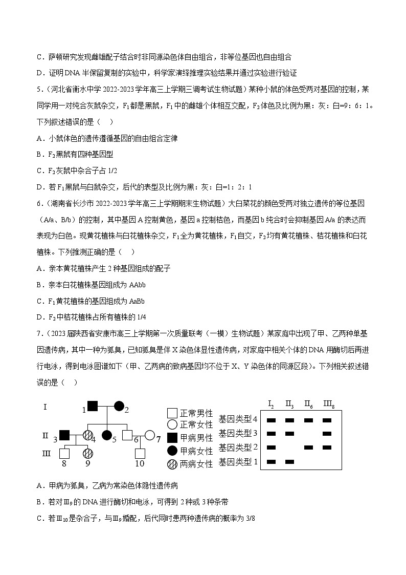 专题卷04 遗传规律-【小题小卷】冲刺2023年高考生物小题限时集训（新高考专用）（原卷版）第2页