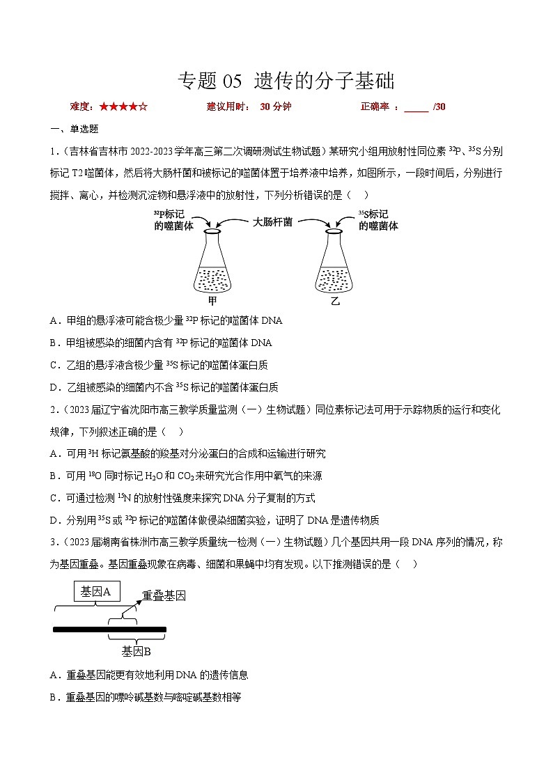 专题卷05 遗传的分子基础-【小题小卷】冲刺2023年高考生物小题限时集训（新高考专用）（原卷版）第1页