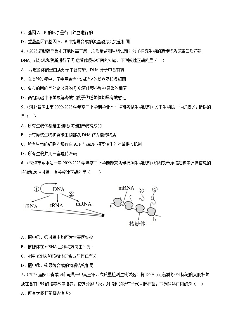 专题卷05 遗传的分子基础-【小题小卷】冲刺2023年高考生物小题限时集训（新高考专用）（原卷版）第2页