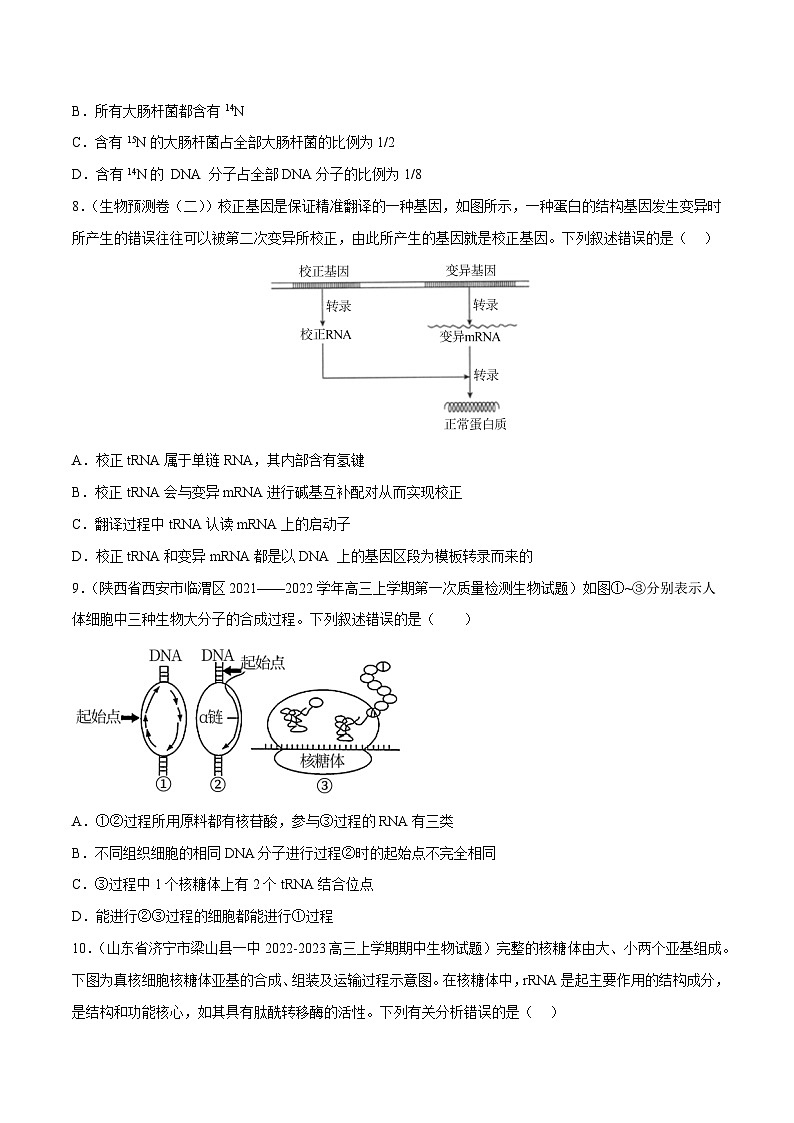 专题卷05 遗传的分子基础-【小题小卷】冲刺2023年高考生物小题限时集训（新高考专用）（原卷版）第3页