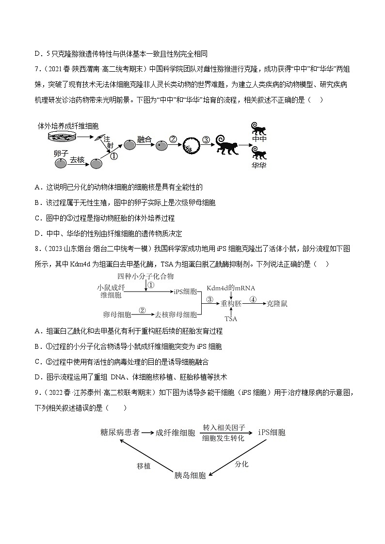 专题卷12 细胞工程和胚胎工程-【小题小卷】冲刺2023年高考生物小题限时集训（新高考专用）（原卷版）第3页