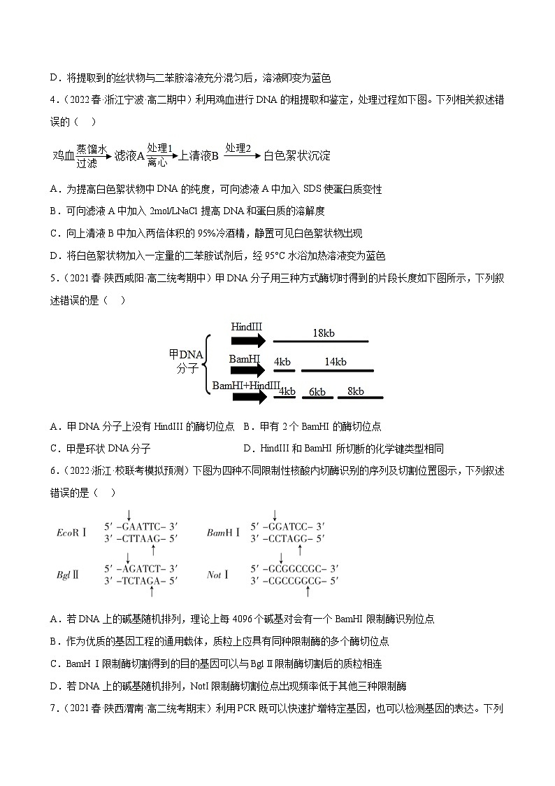 专题卷13 基因工程 -【小题小卷】冲刺2023年高考生物小题限时集训（新高考专用）（原卷版）第2页