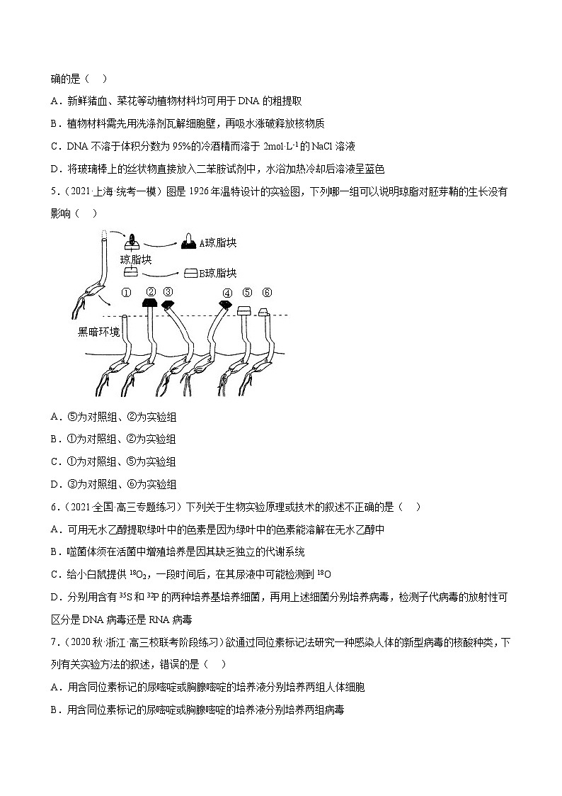 专题卷14 实验探究 -【小题小卷】冲刺2023年高考生物小题限时集训（新高考专用）（原卷版）02