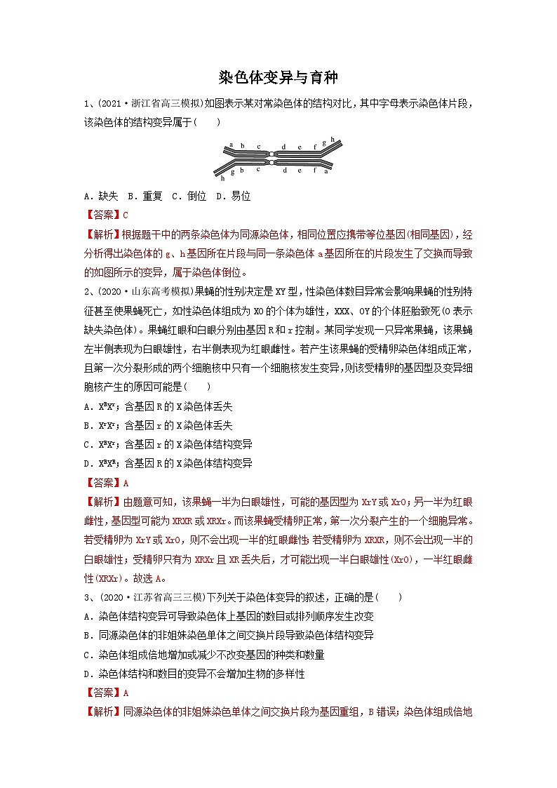 专题21 染色体变异与育种（精练）-备战2024年高考生物一轮复习串讲精练（新高考专用）（解析版）第1页