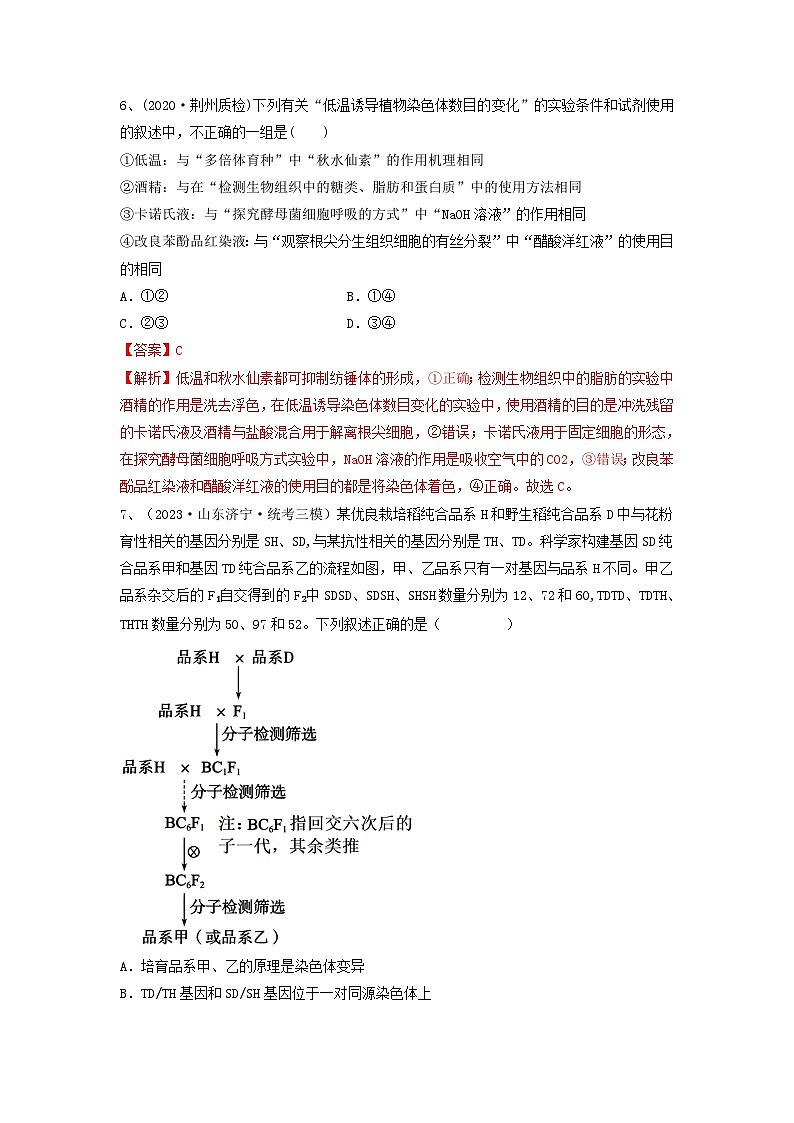 专题21 染色体变异与育种（精练）-备战2024年高考生物一轮复习串讲精练（新高考专用）（解析版）第3页