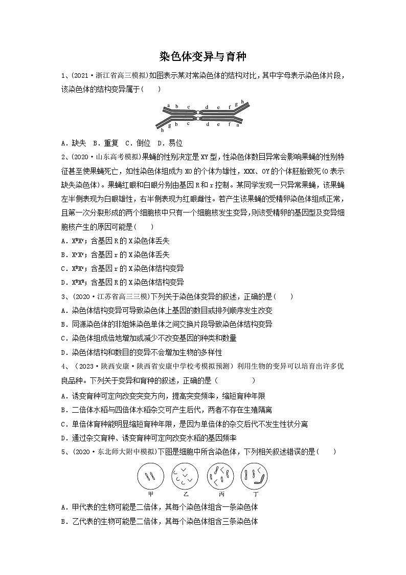 专题21 染色体变异与育种（精练）-备战2024年高考生物一轮复习串讲精练（新高考专用）（原卷版）第1页