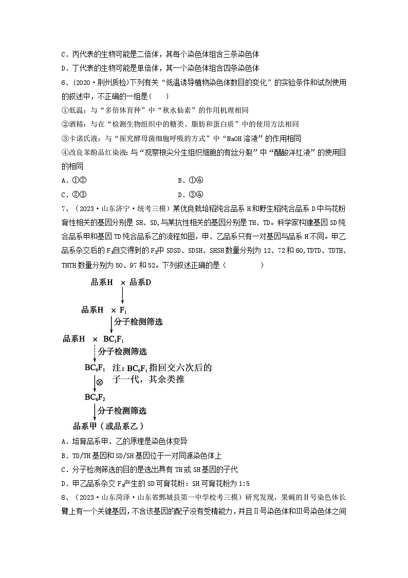 专题21 染色体变异与育种（精练）-备战2024年高考生物一轮复习串讲精练（新高考专用）（原卷版）第2页