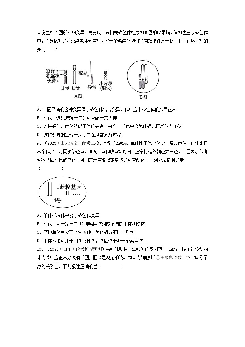 专题21 染色体变异与育种（精练）-备战2024年高考生物一轮复习串讲精练（新高考专用）（原卷版）第3页
