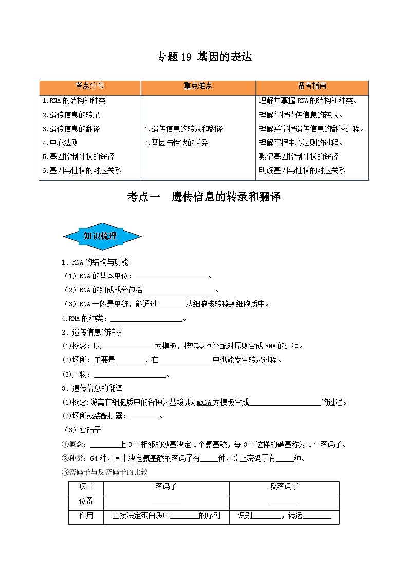 专题19 基因的表达（串讲）-备战2024年高考生物一轮复习串讲精练（新高考专用）（原卷版）第1页