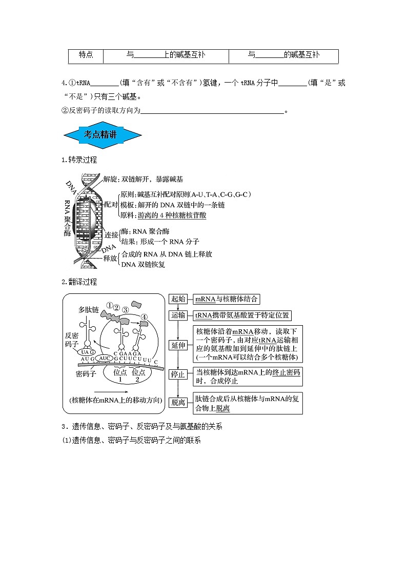 专题19 基因的表达（串讲）-备战2024年高考生物一轮复习串讲精练（新高考专用）（原卷版）第2页