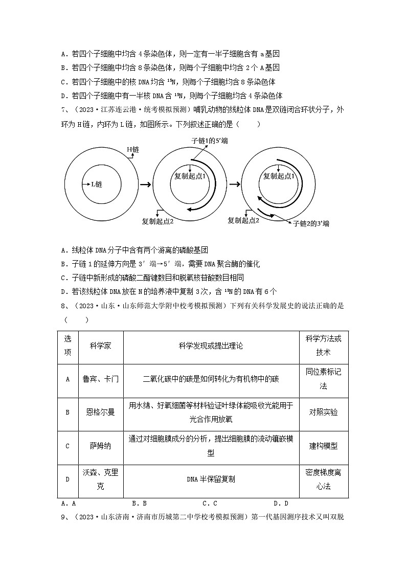 专题18 DNA分子的结构、复制及基因的本质（精练）-备战2024年高考生物一轮复习串讲精练（新高考专用）（原卷版）第2页