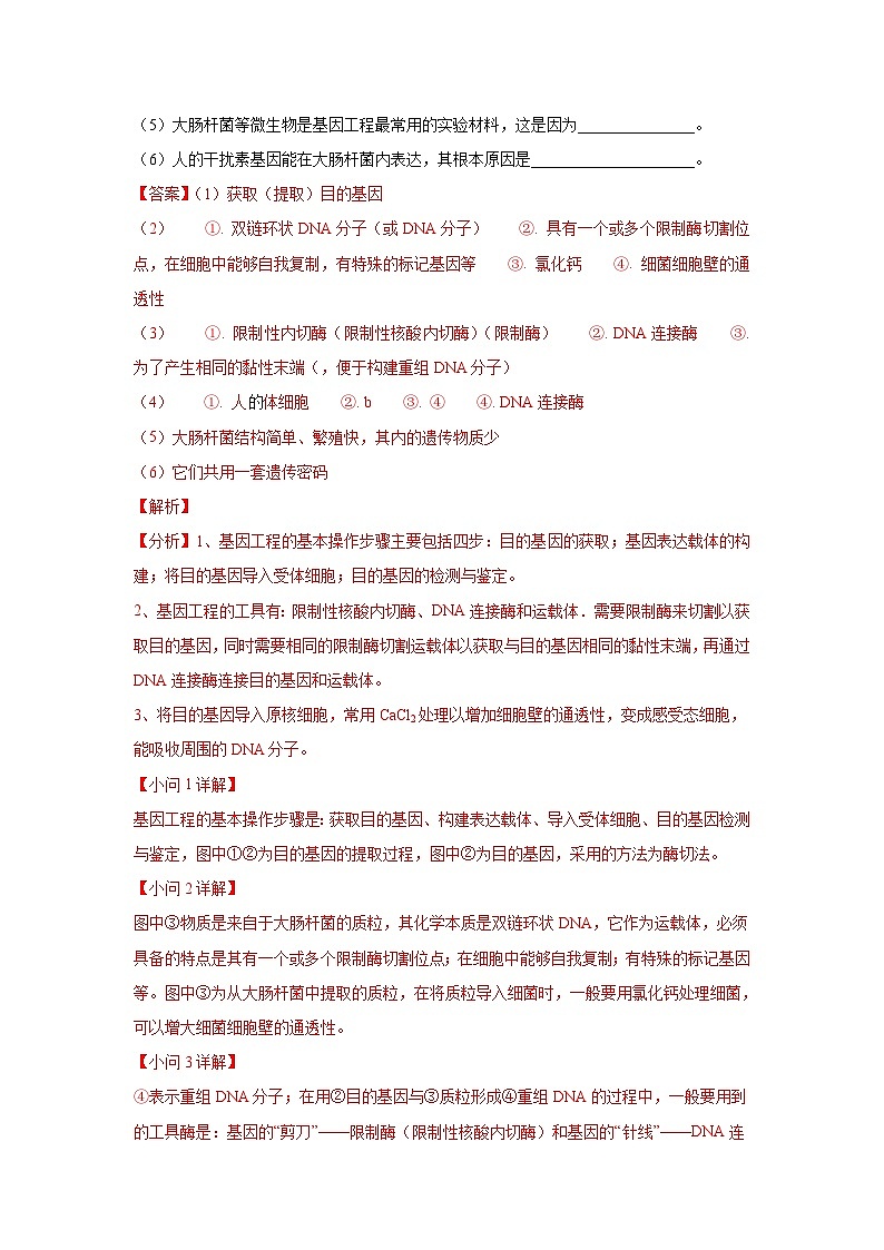 专题18 实验与探究-2022届高三生物模拟试卷分类汇编第2页