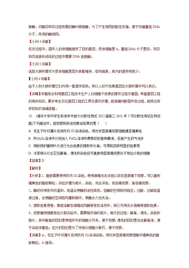 专题18 实验与探究-2022届高三生物模拟试卷分类汇编第3页