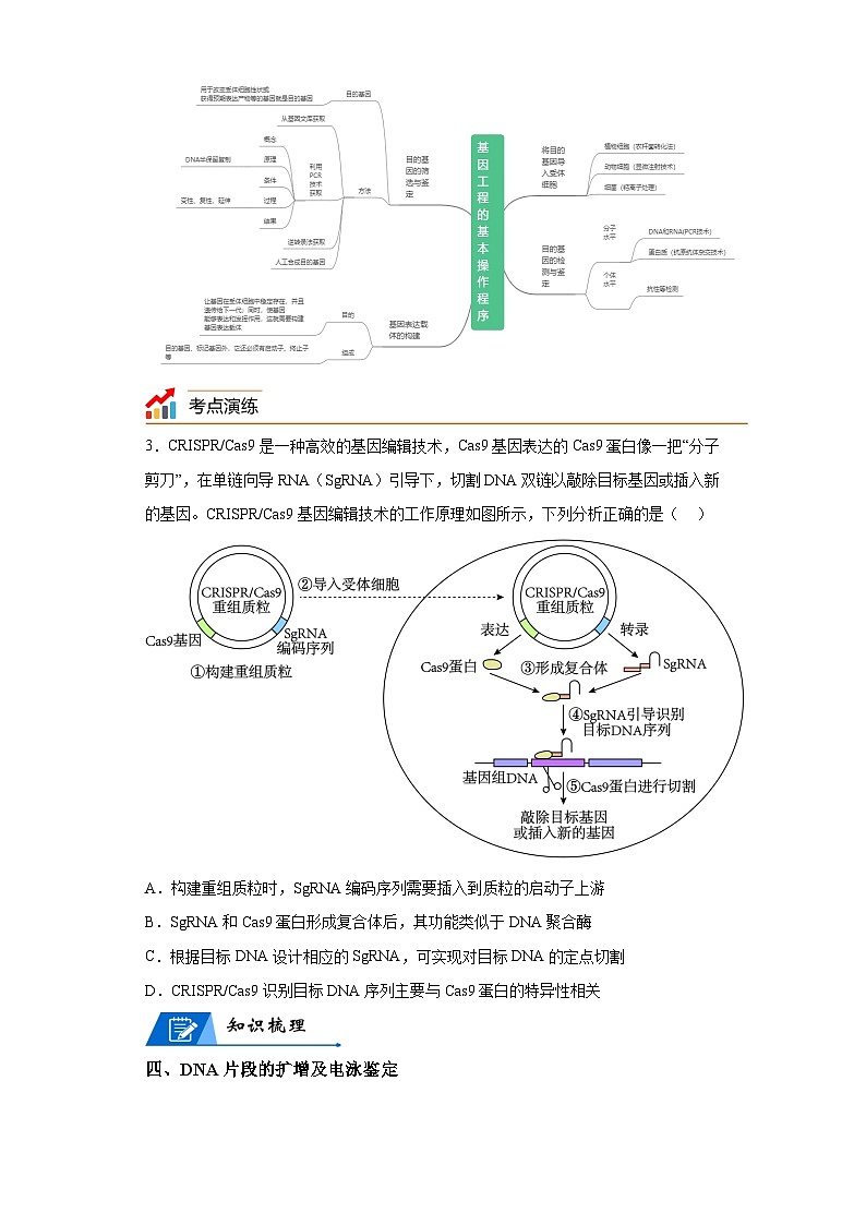 专题18基因工程——回归课本——23版高考生物复习（解析版）第3页
