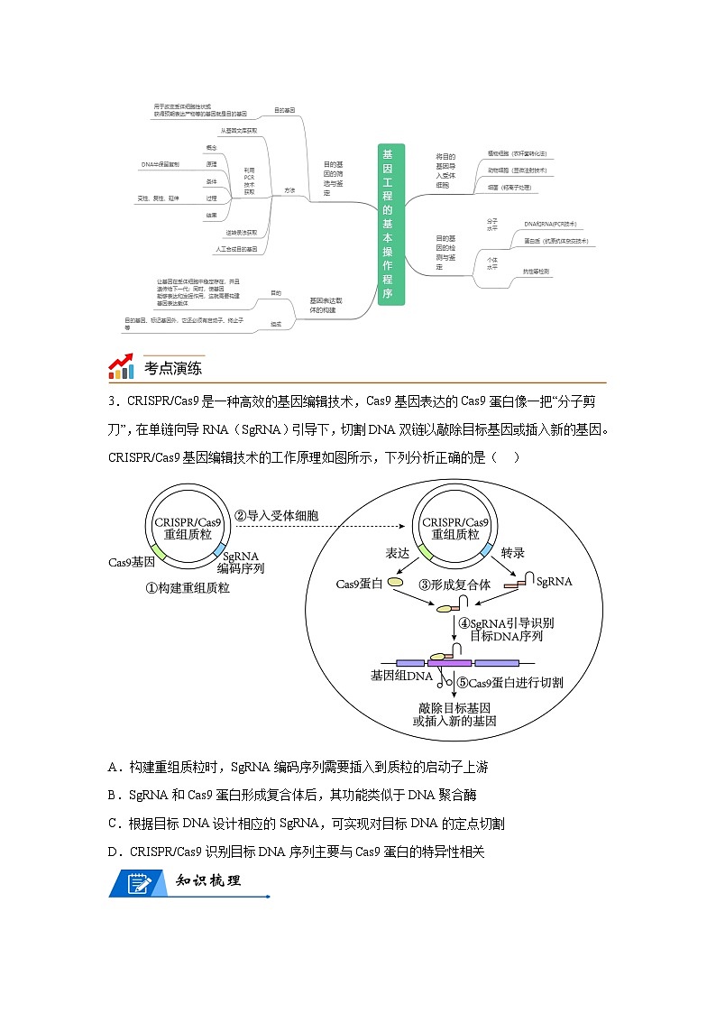 专题18基因工程——回归课本——23版高考生物复习（学生版）第3页