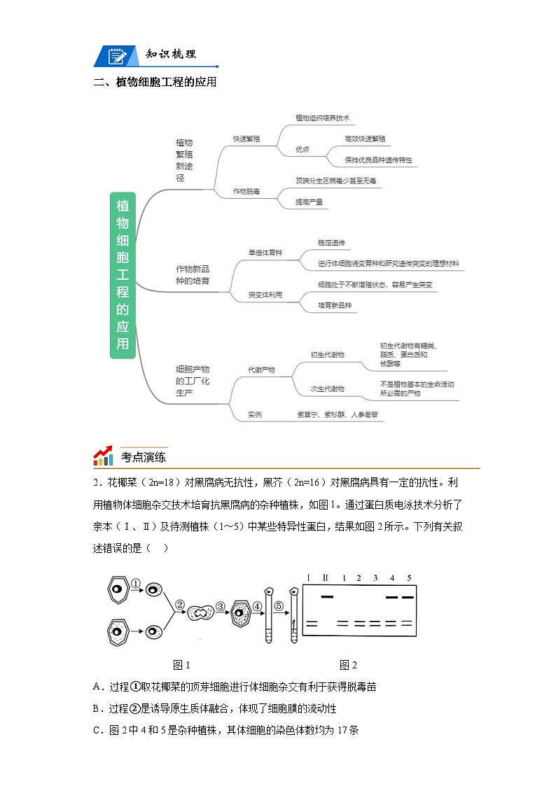 专题17细胞工程——回归课本——23版高考生物复习（解析版）第2页