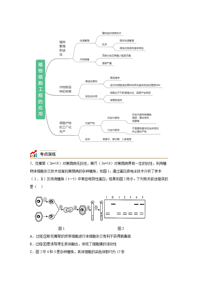专题17细胞工程——回归课本——23版高考生物复习（学生版）第2页