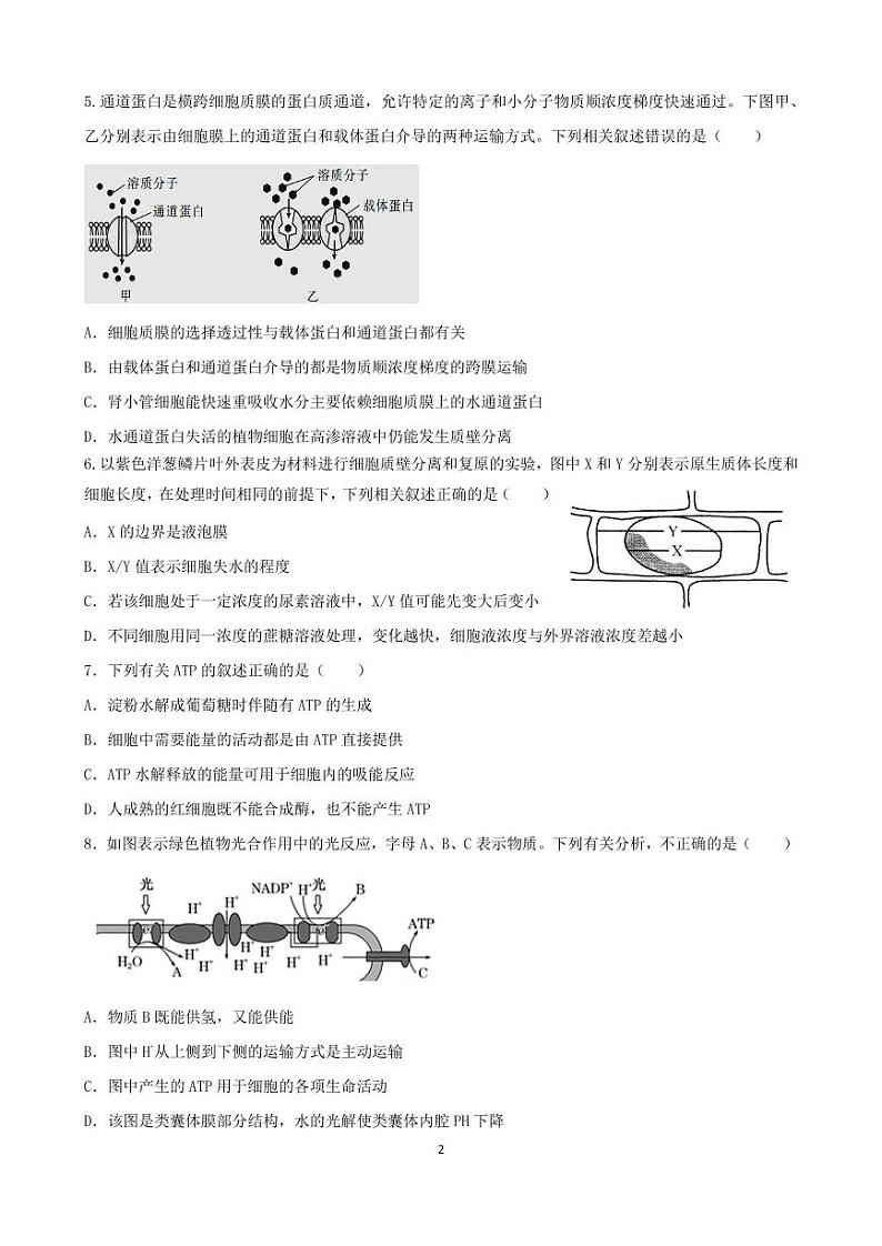 2022-2023学年江苏省扬州市宝应县高三上学期期初检测试题 生物 PDF版02