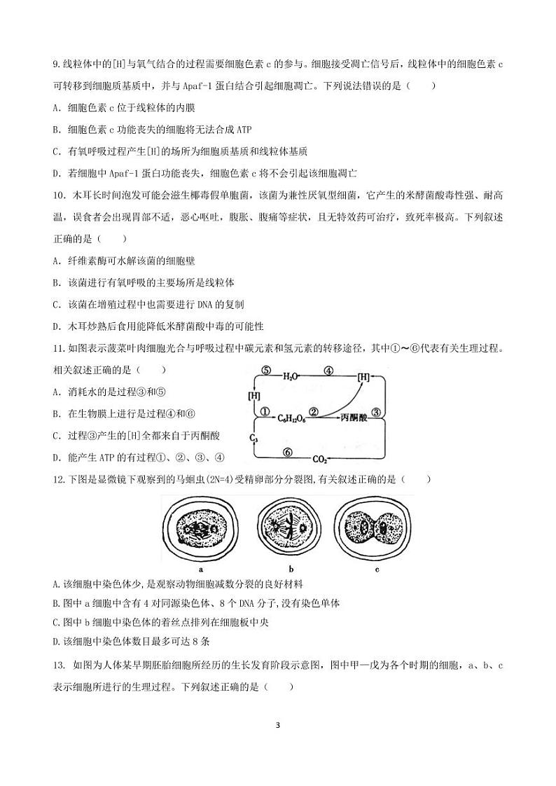 2022-2023学年江苏省扬州市宝应县高三上学期期初检测试题 生物 PDF版03