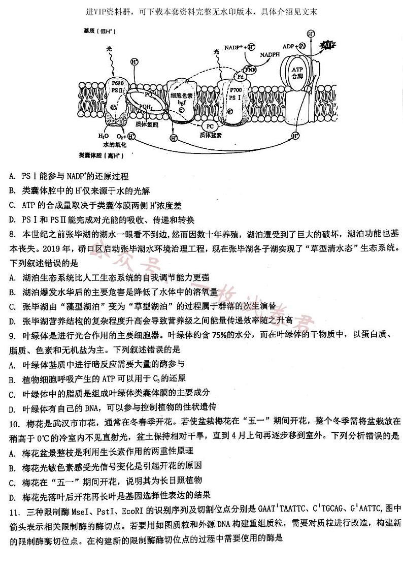 2024届武汉市硚口区高三上学期起点质量检测 生物第3页