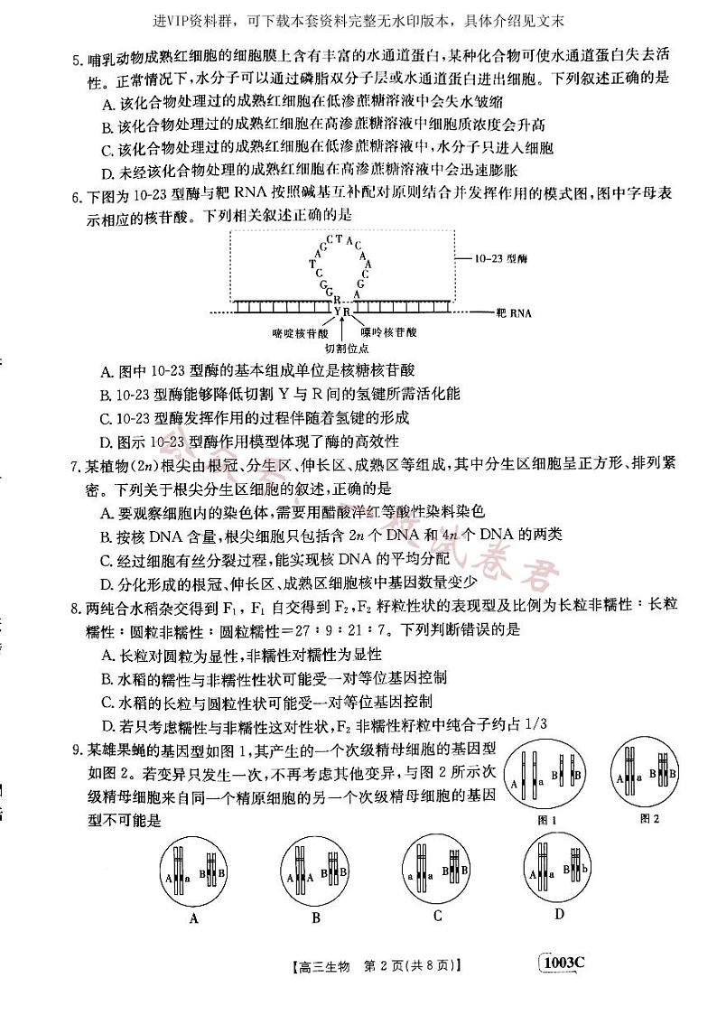 甘肃省白银市靖远县2022-2023学年高三上学期开学考试生物试题02