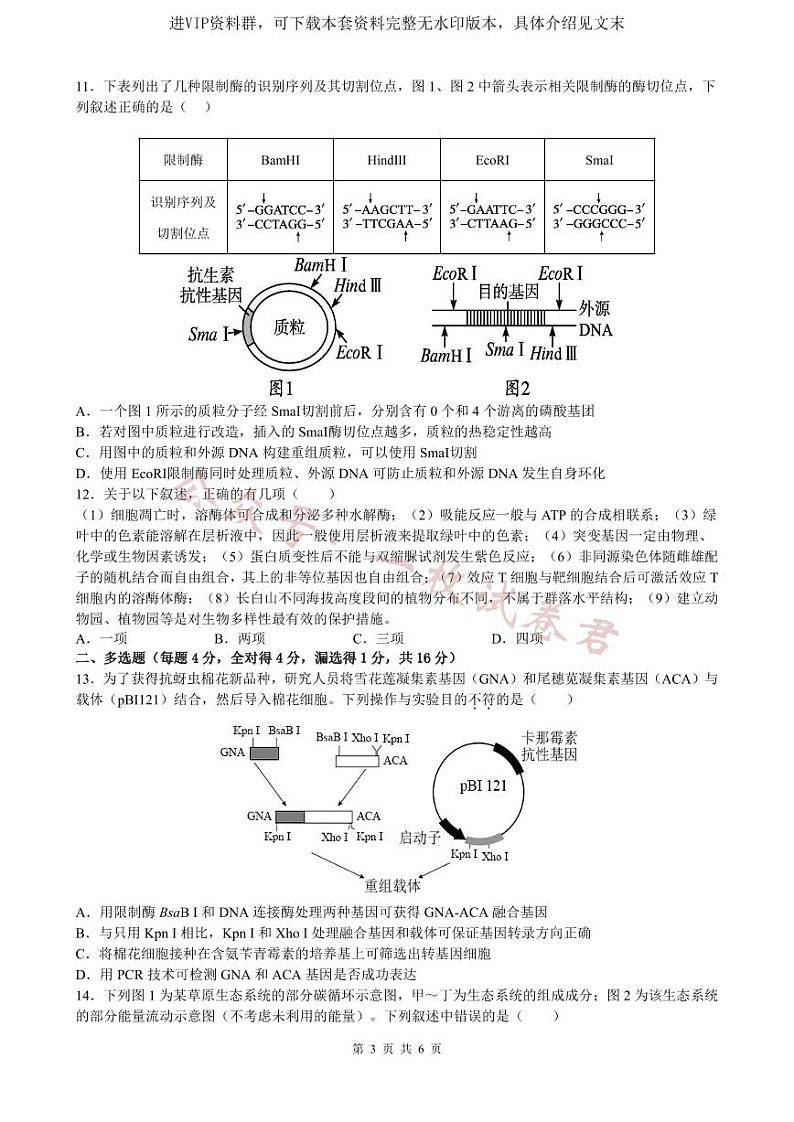 江西省泰和中学2024届高三暑期质量检测 生物第3页