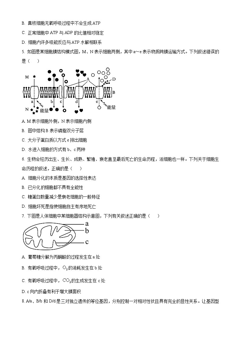 云南省楚雄州2022-2023学年高一下学期期末生物试题无答案第2页