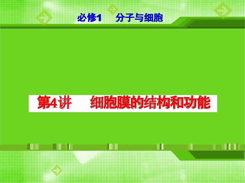 第4讲 细胞膜的结构和功能（课件精讲）-【一轮精讲】备战2024年高考生物一轮复习课件精讲和题型归纳第1页