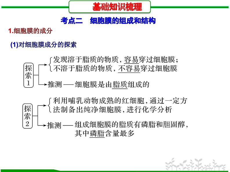 第4讲 细胞膜的结构和功能（课件精讲）-【一轮精讲】备战2024年高考生物一轮复习课件精讲和题型归纳第6页