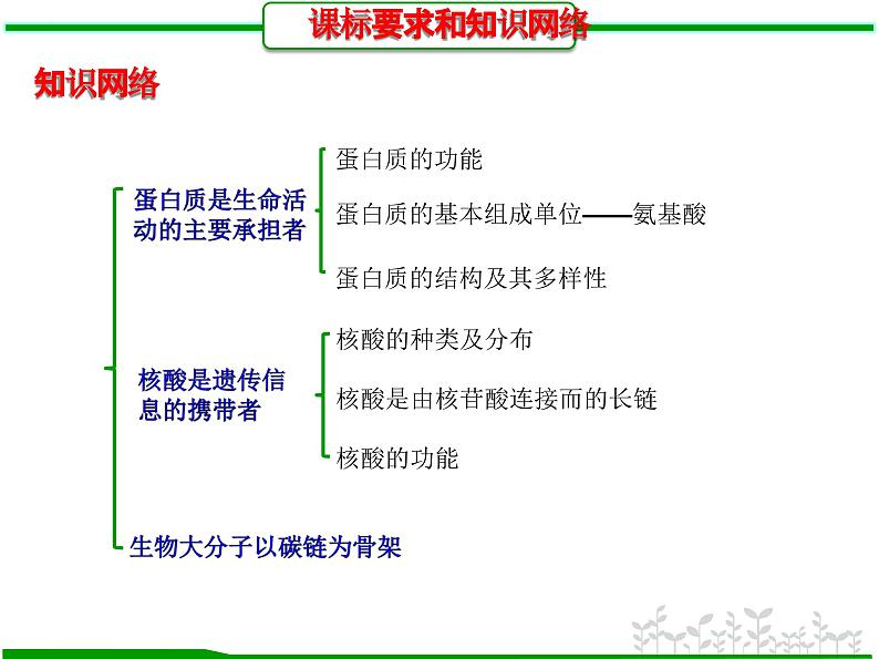 第3讲 蛋白质和核酸（课件精讲）-【一轮精讲】备战2024年高考生物一轮复习课件精讲和题型归纳第3页