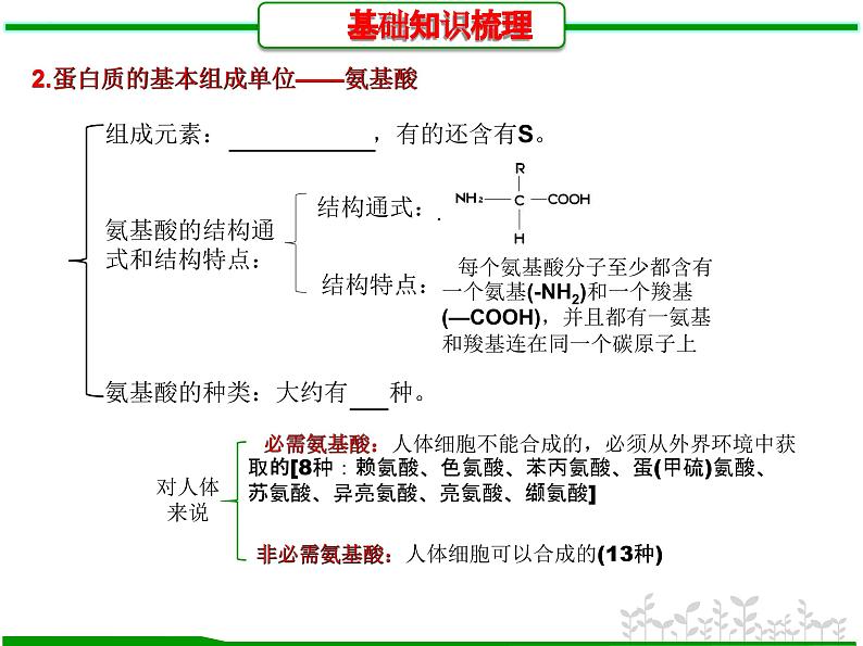 第3讲 蛋白质和核酸（课件精讲）-【一轮精讲】备战2024年高考生物一轮复习课件精讲和题型归纳第5页