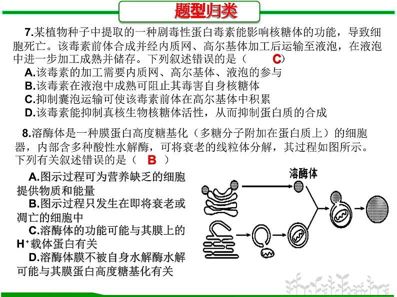 第5讲 细胞器之间的分工和协调配合（题型归类）-【一轮精讲】备战2024年高考生物一轮复习课件精讲和题型归纳06