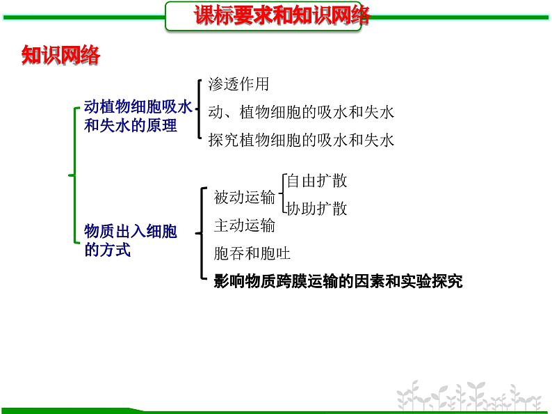 第7讲 细胞的物质输入和输出（课件精讲）-【一轮精讲】备战2024年高考生物一轮复习课件精讲和题型归纳03