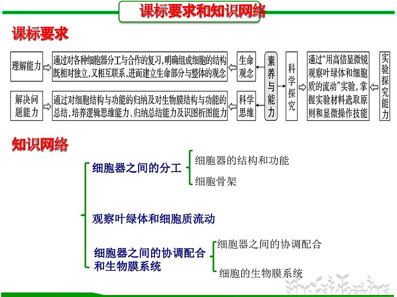 第5讲 细胞器之间的分工和协调配合（课件精讲）-【一轮精讲】备战2024年高考生物一轮复习课件精讲和题型归纳第2页