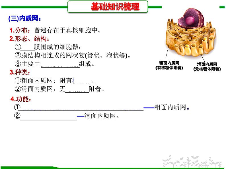 第5讲 细胞器之间的分工和协调配合（课件精讲）-【一轮精讲】备战2024年高考生物一轮复习课件精讲和题型归纳第7页