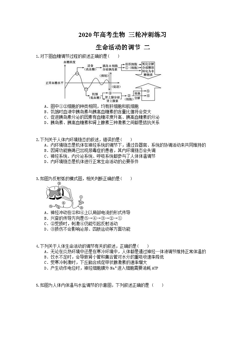 高考生物 三轮冲刺练习 生命活动的调节 二(20题含答案解析)01