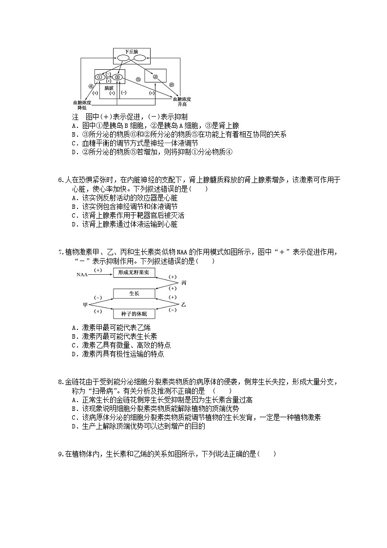 高考生物 三轮冲刺练习 生命活动的调节 四(20题含答案解析)第2页
