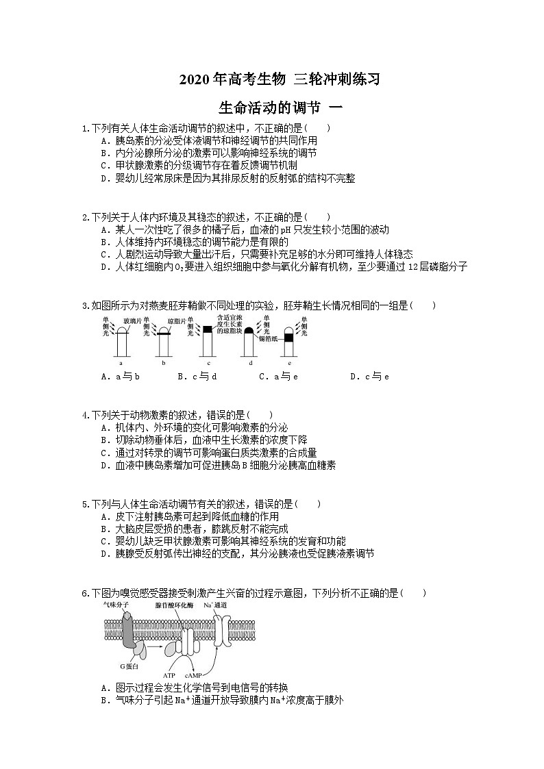 高考生物 三轮冲刺练习 生命活动的调节 一(20题含答案解析)第1页