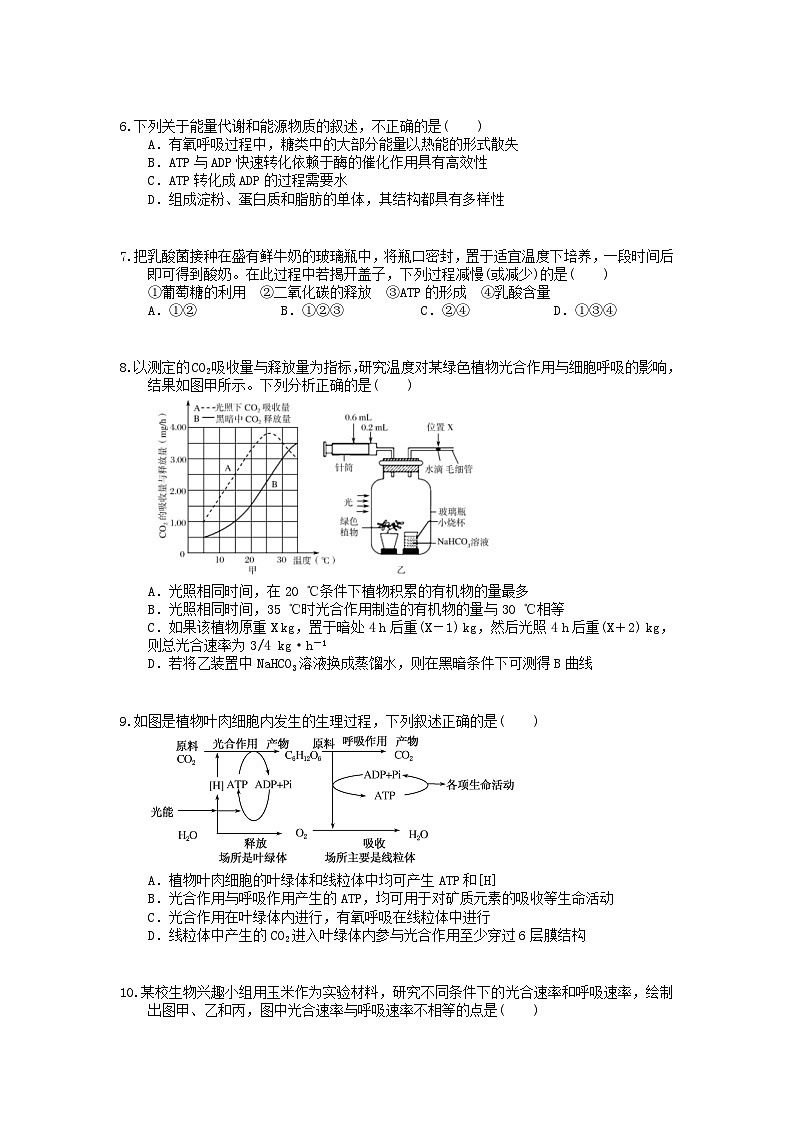 高考生物 三轮冲刺练习 生物的新陈代谢 二(20题含答案解析)第2页