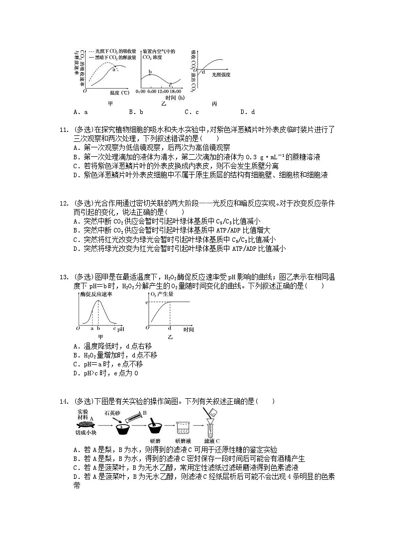 高考生物 三轮冲刺练习 生物的新陈代谢 二(20题含答案解析)第3页