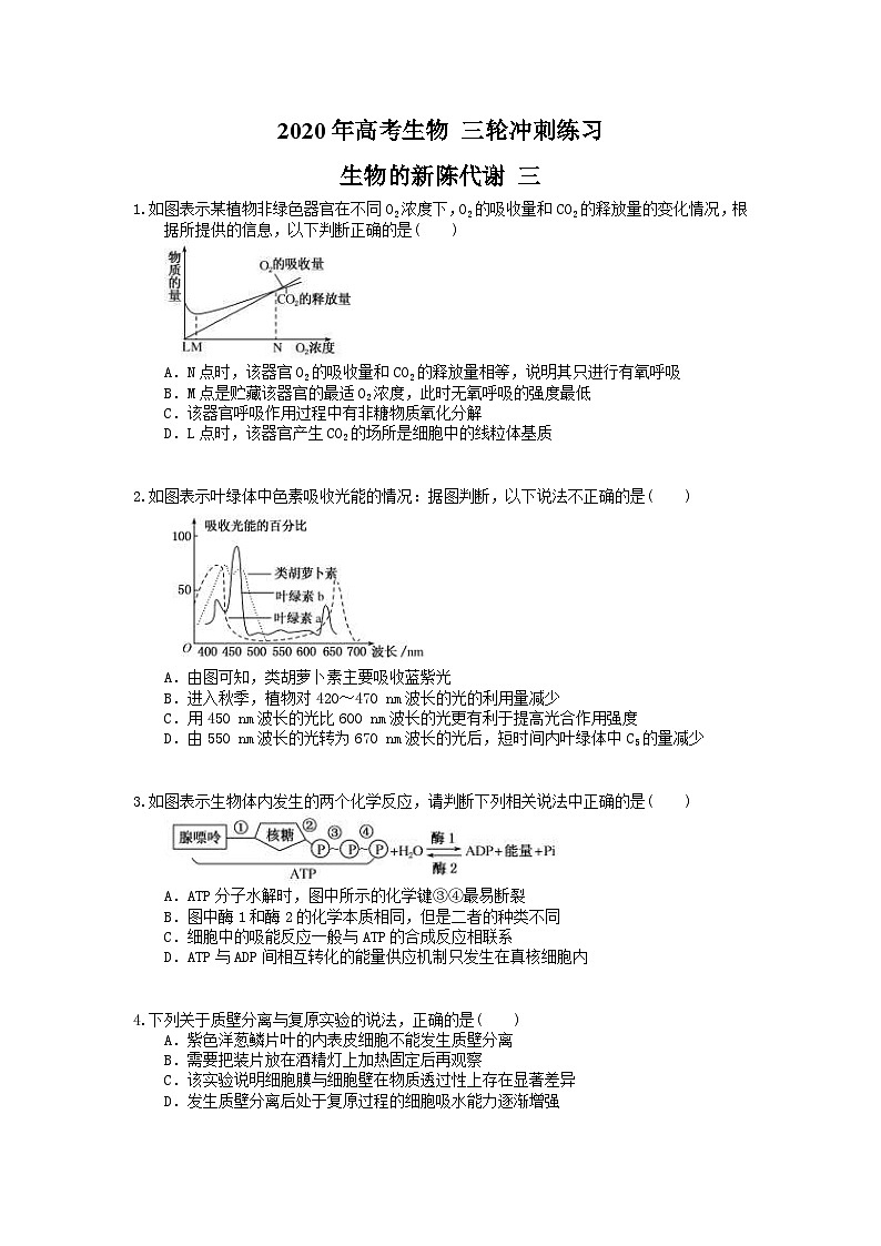 高考生物 三轮冲刺练习 生物的新陈代谢 三(20题含答案解析)第1页