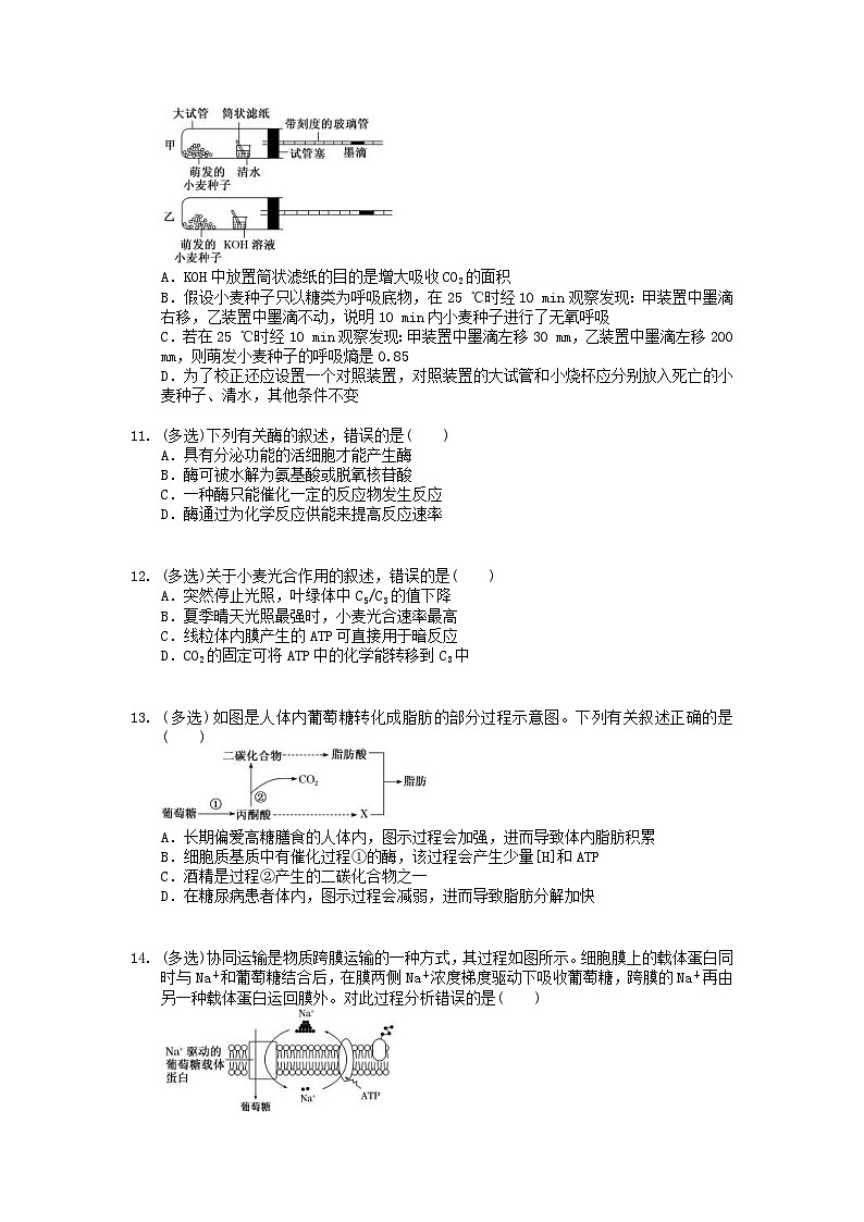 高考生物 三轮冲刺练习 生物的新陈代谢 三(20题含答案解析)第3页