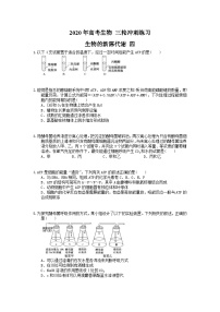 高考生物 三轮冲刺练习 生物的新陈代谢 四(20题含答案解析)