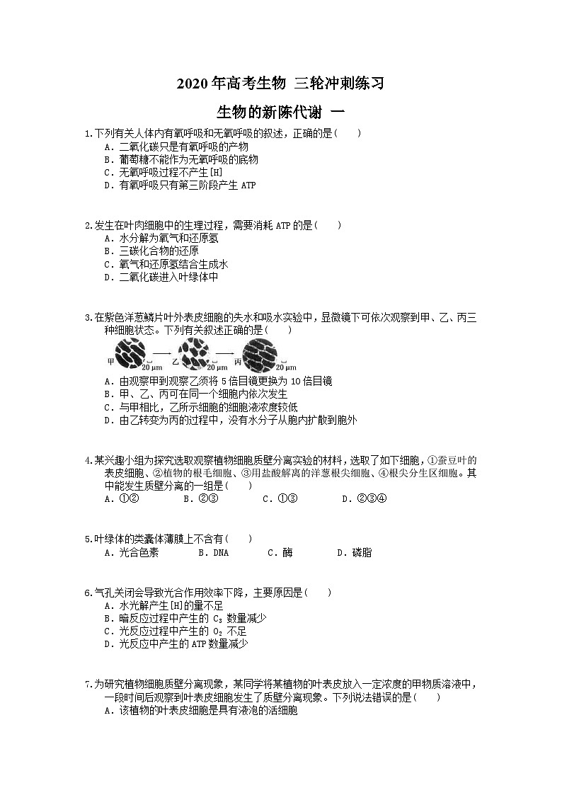 高考生物 三轮冲刺练习 生物的新陈代谢 一(20题含答案解析)第1页