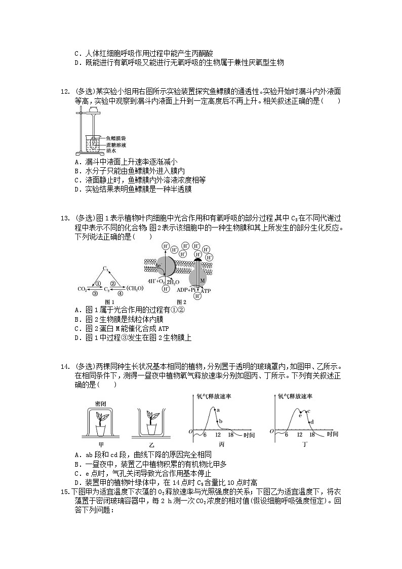 高考生物 三轮冲刺练习 生物的新陈代谢 一(20题含答案解析)第3页