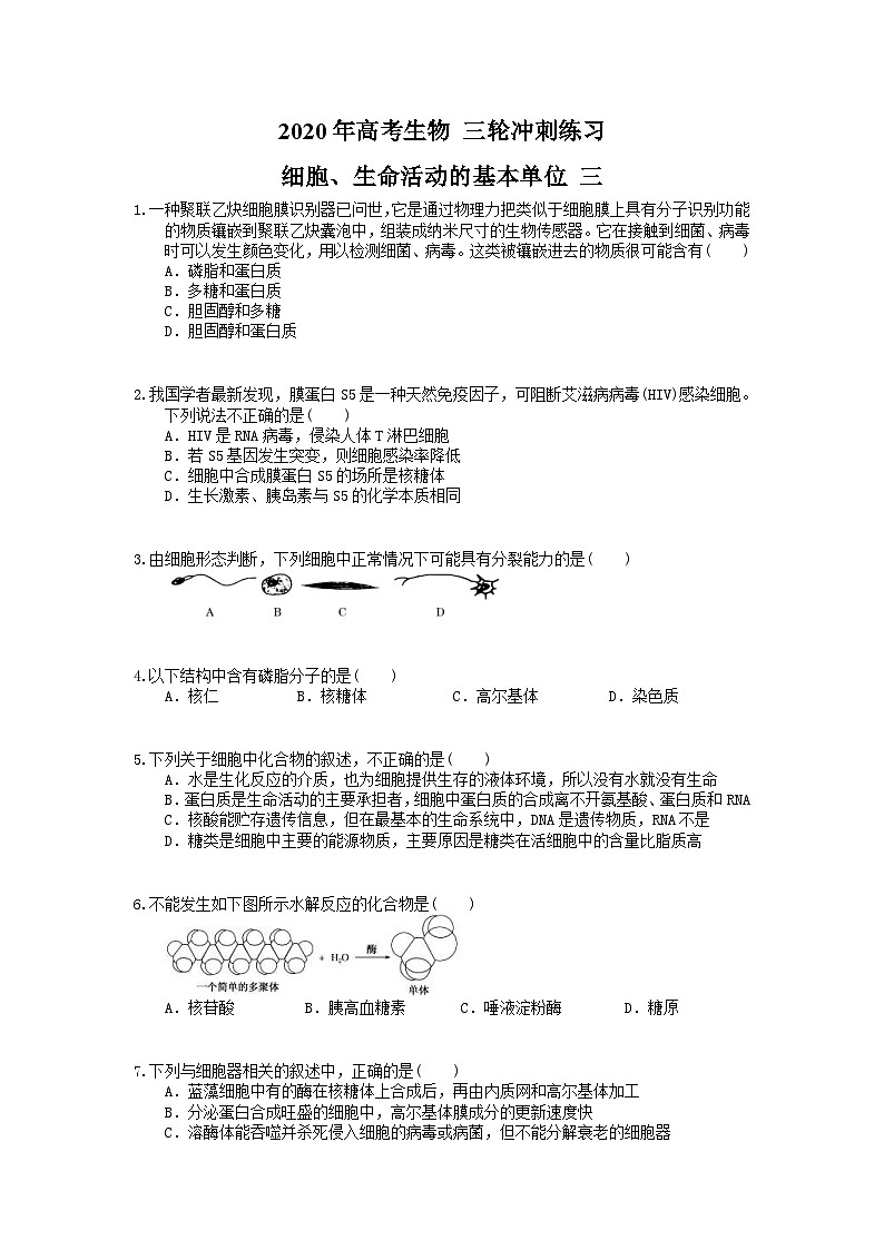 高考生物 三轮冲刺练习 细胞、生命活动的基本单位 三(20题含答案解析)01