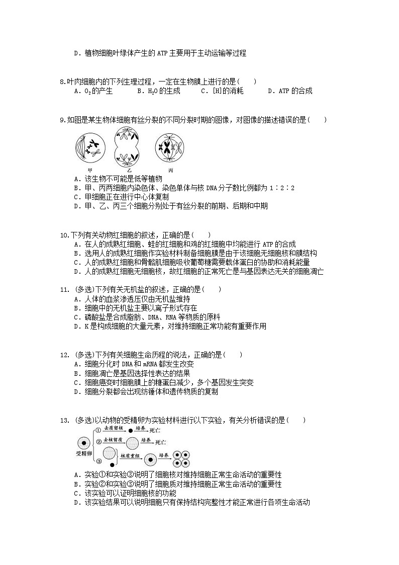 高考生物 三轮冲刺练习 细胞、生命活动的基本单位 三(20题含答案解析)02