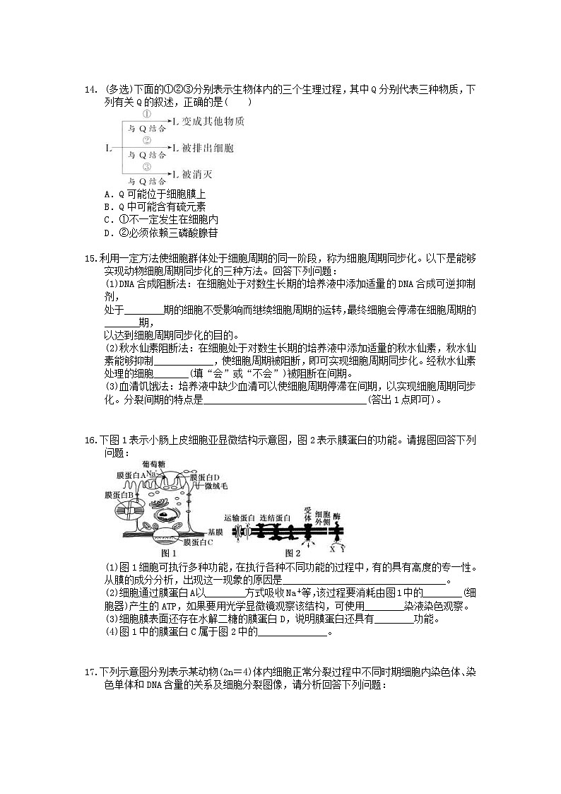 高考生物 三轮冲刺练习 细胞、生命活动的基本单位 三(20题含答案解析)03